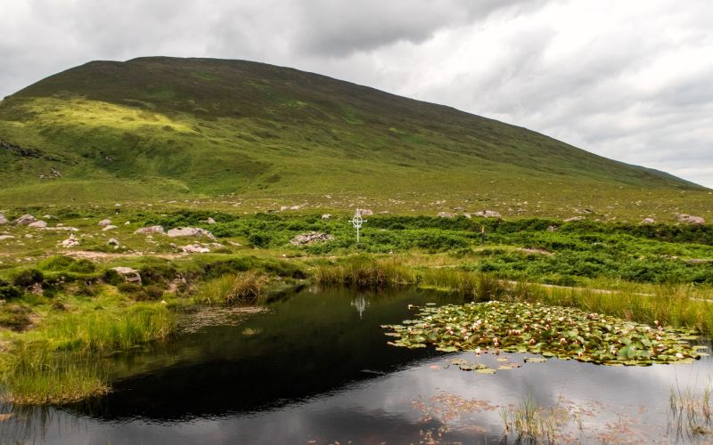 Tralee - Camp